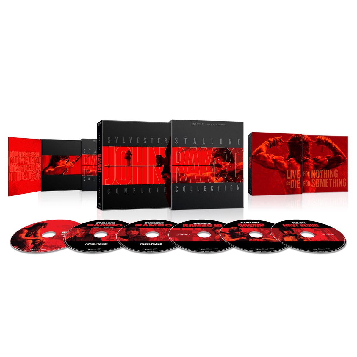 Dawn of The Discs tweet media