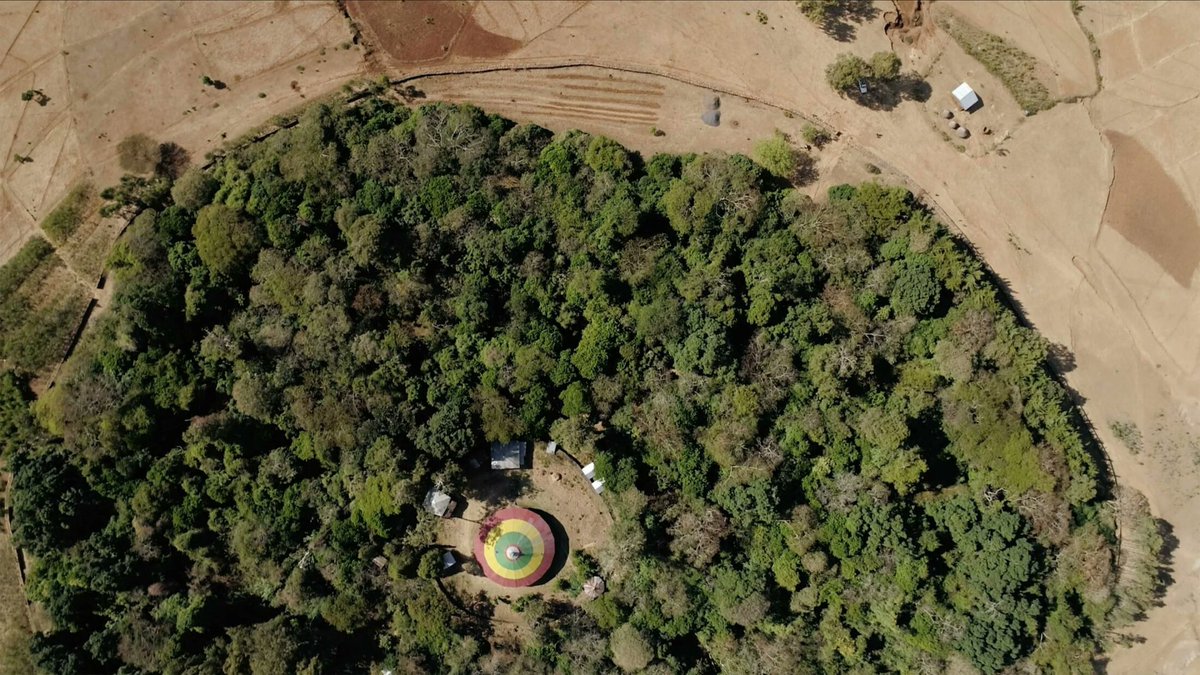 Ethiopia has lost 90% of its forests. These survived because of a 1,500-year-old religious belief.

The Ethiopian Orthodox Tewahedo Church has held the same belief for over 1,500 years: a church must be surrounded by forest. 

Destroying a plant or creature within the church