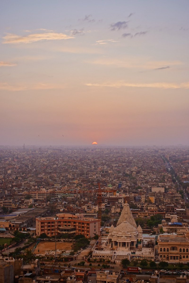 なおの歩き方🌏 tweet media