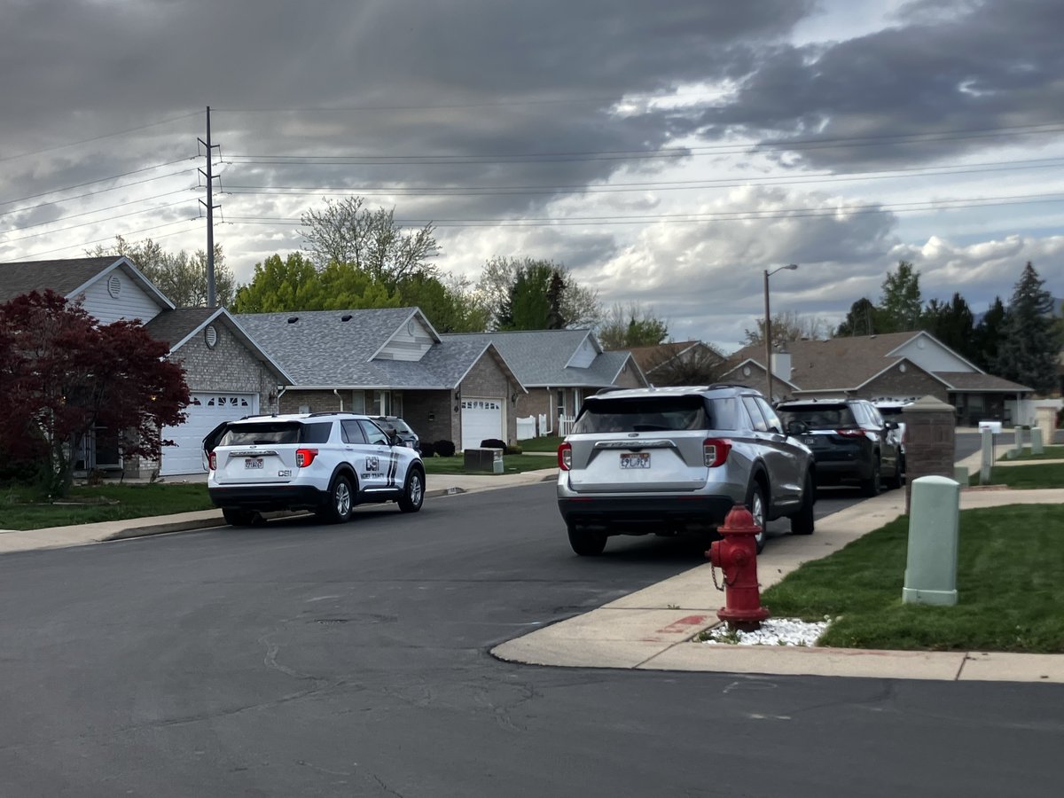 SLCScanner tweet media