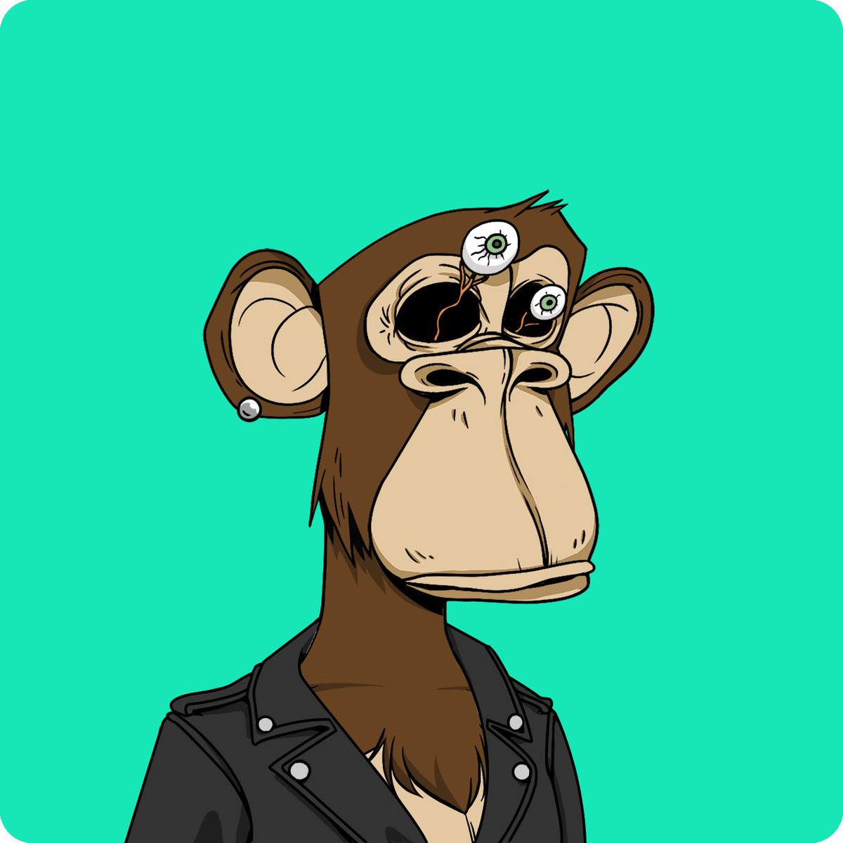 Phin Erin 🍌 tweet media