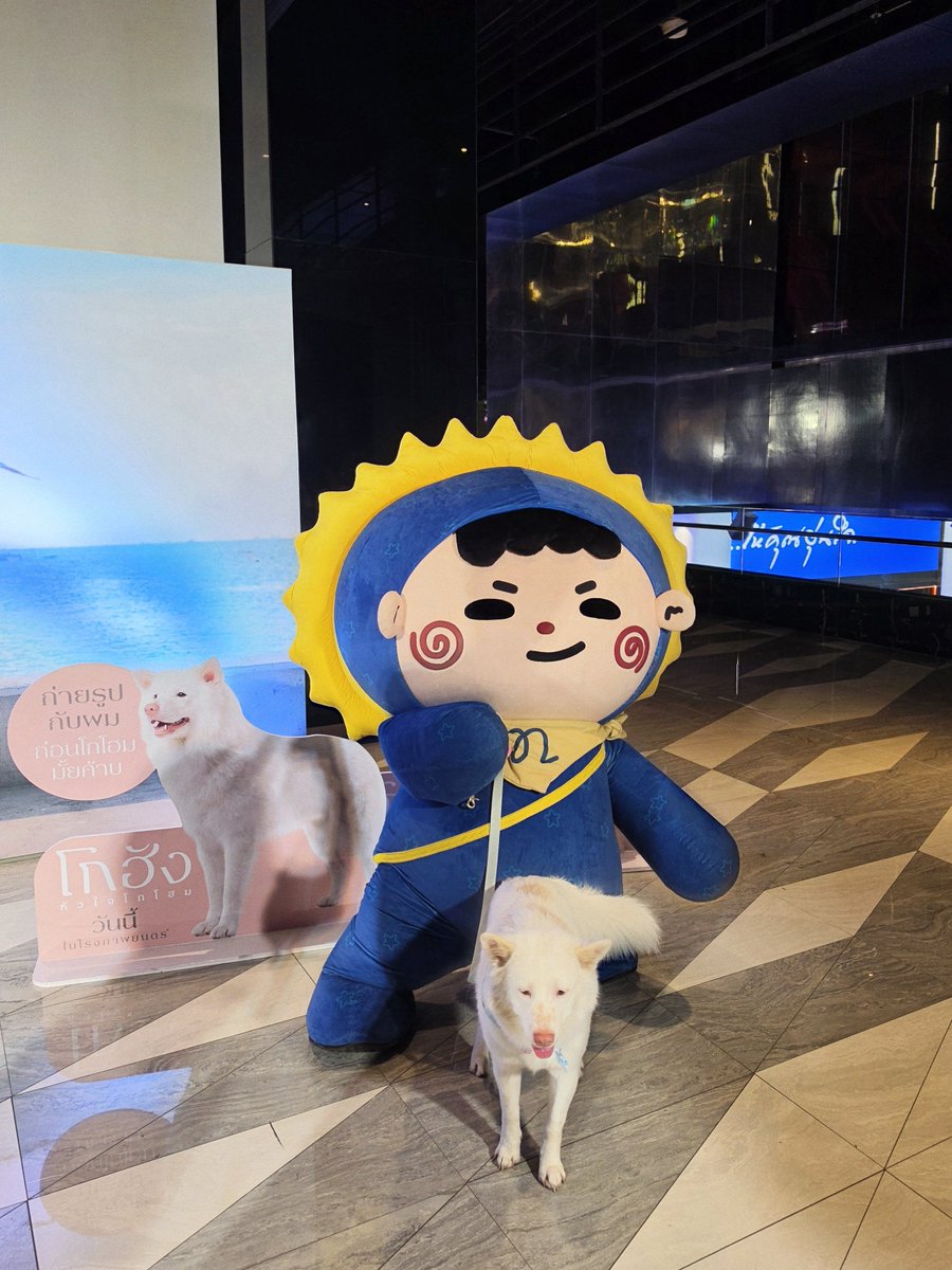 คุณไป๋ tweet media