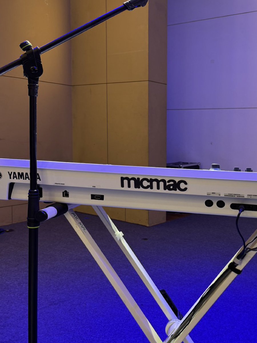 micmac.whitefox tweet media