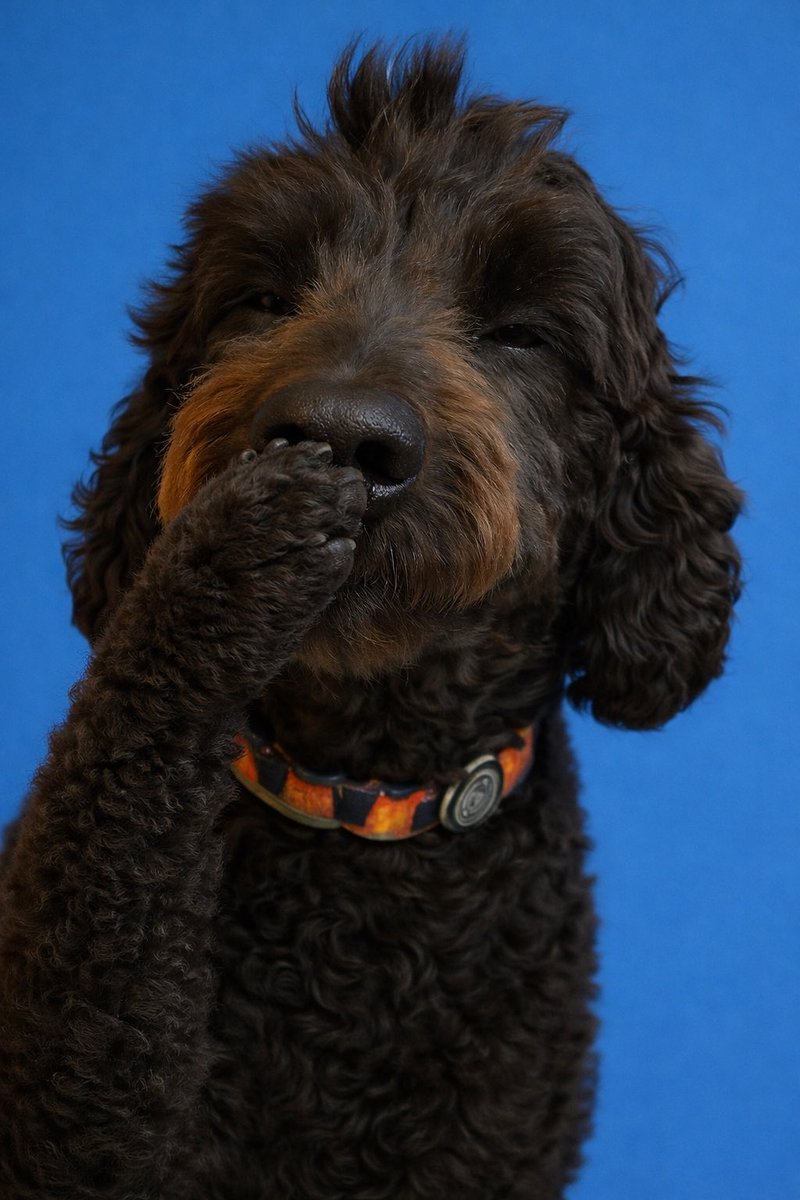 Tammy, follower of Jesus Christ tweet media