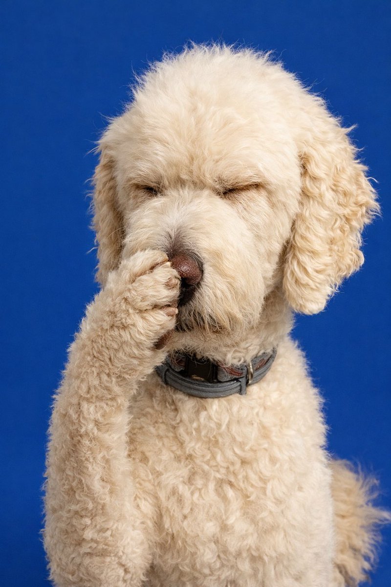 Tammy, follower of Jesus Christ tweet media