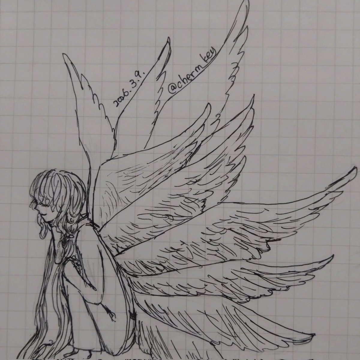 蜘蛛切 鯨 tweet media