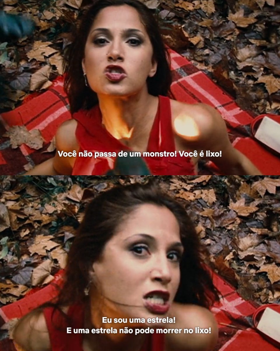 CINEMA 505 tweet media