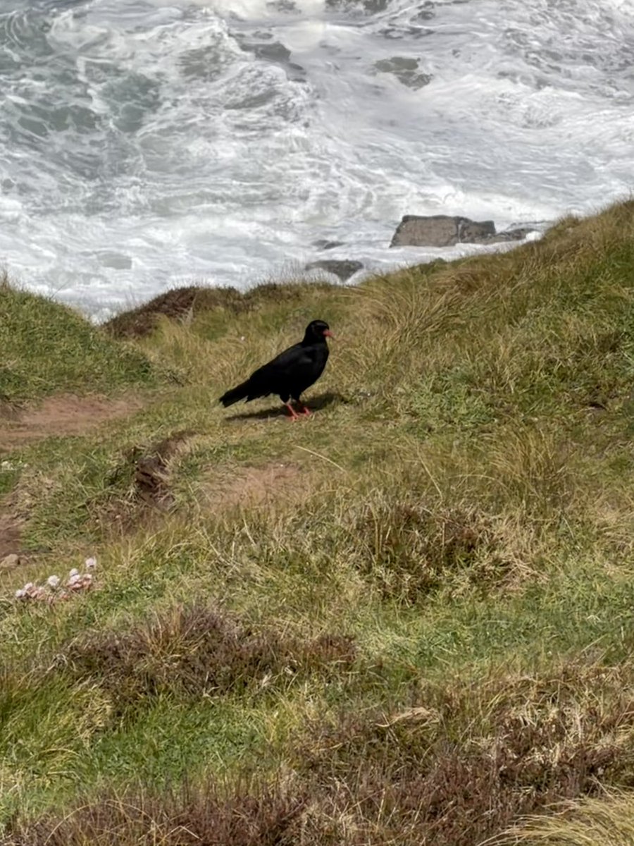 Gill Smith tweet media