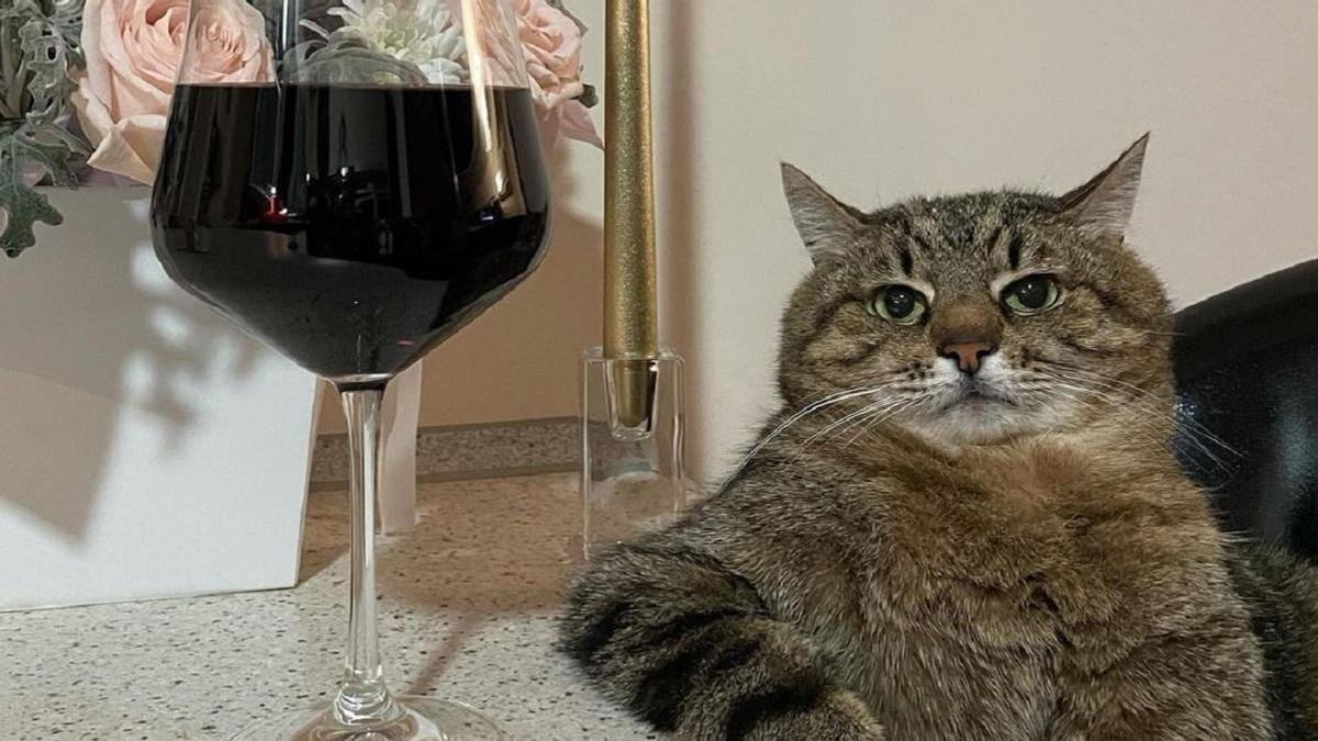 🕀 SIR PAVEL 🕀 tweet media