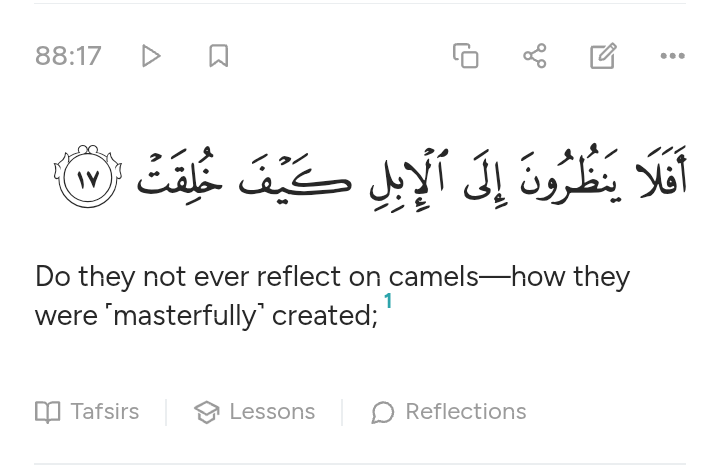 • يمنى♡• tweet media