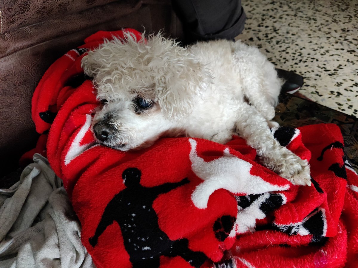 Jose Pródigo tweet media