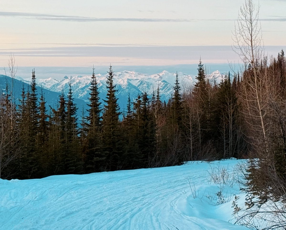 CottontailVA 🐰💋 tweet media