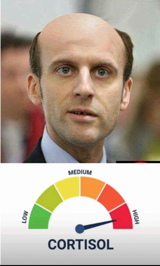 Bouli ☃️ tweet media