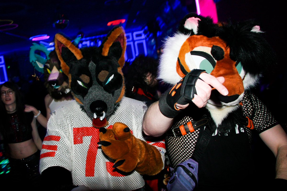 Sniffies Tech Support tweet media