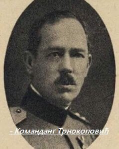 MilanSremac tweet media