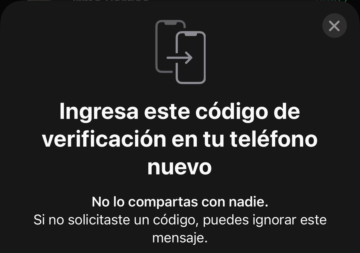 Tico 🏆 tweet media