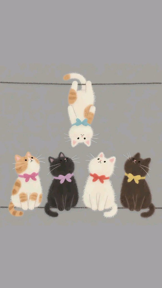 Solithra ☀️ tweet media