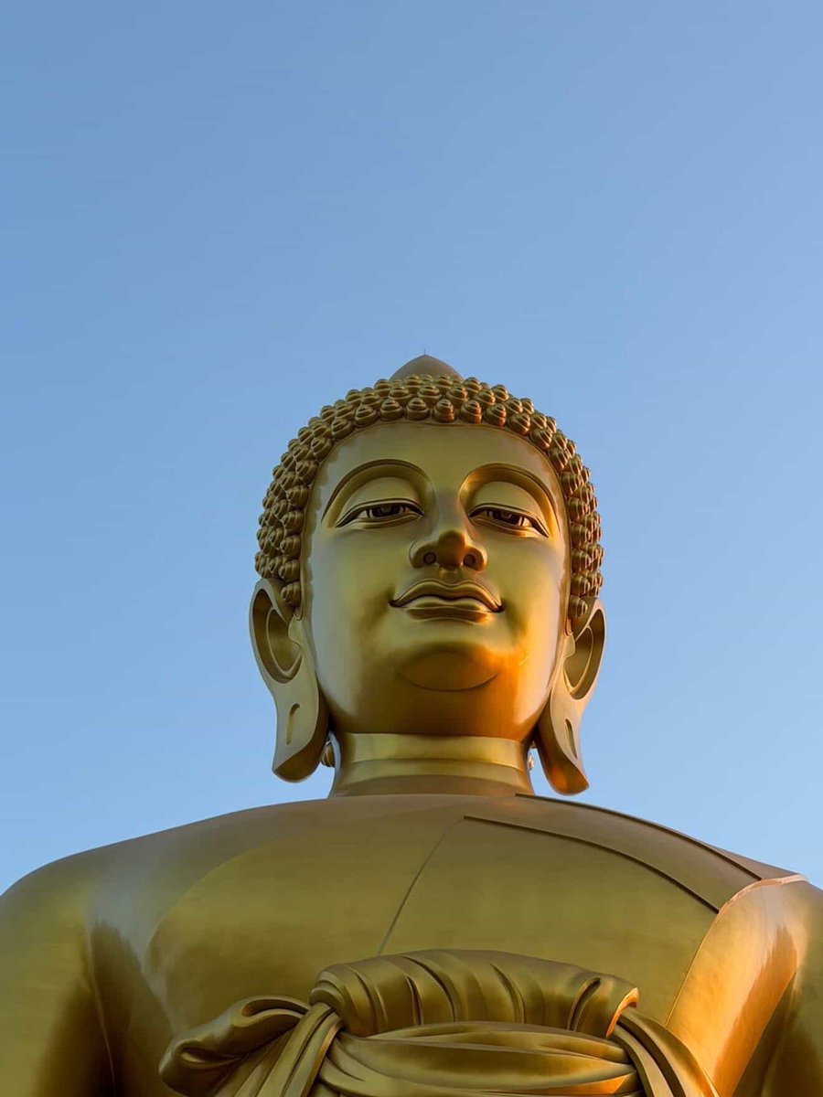 Simple ETF 🦥 tweet media