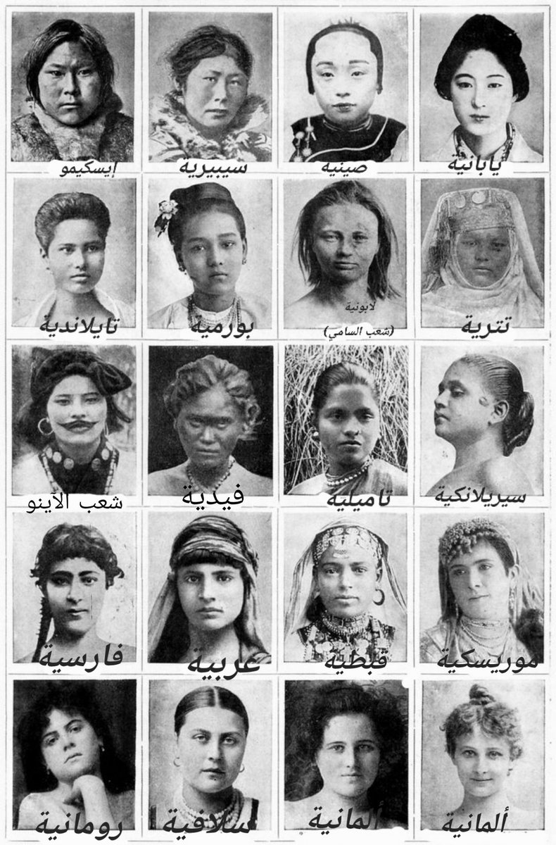 Arab Maeqili 🇵🇸 tweet media