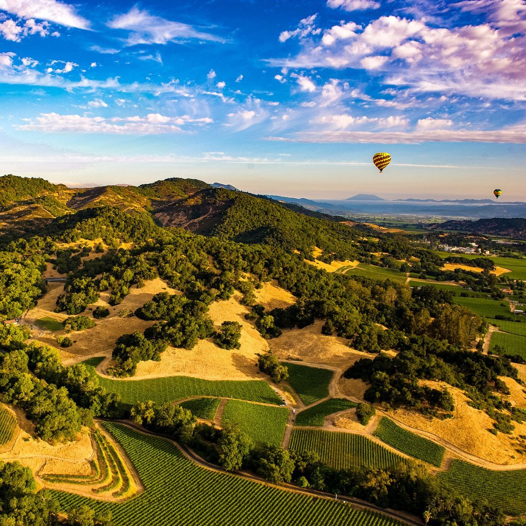 Soaring high above Napa Valley! 🪂 #WanderlustWednesday #TheWineCellarGroup