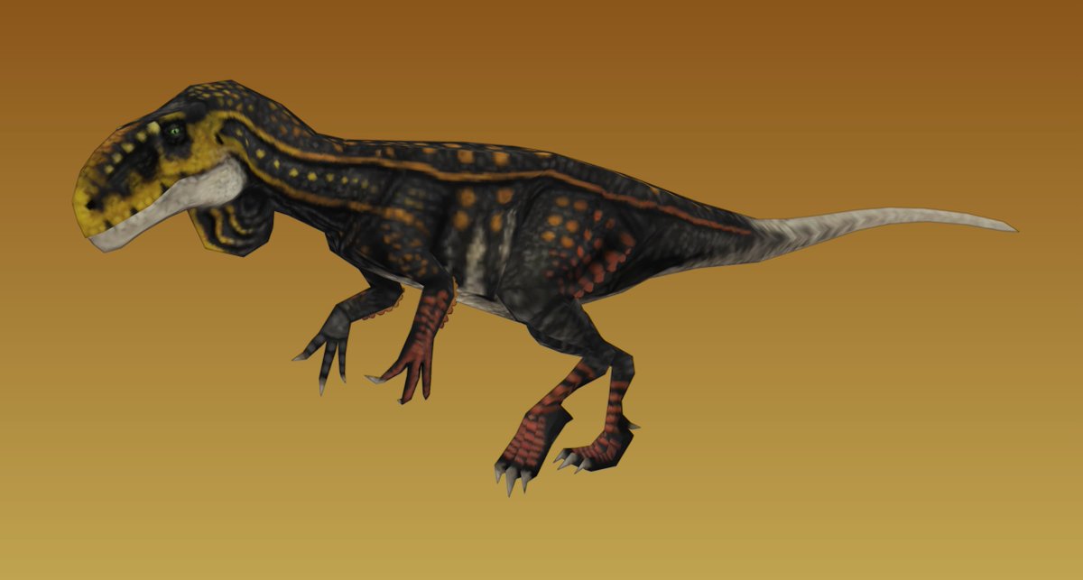 Nova Stein tweet media