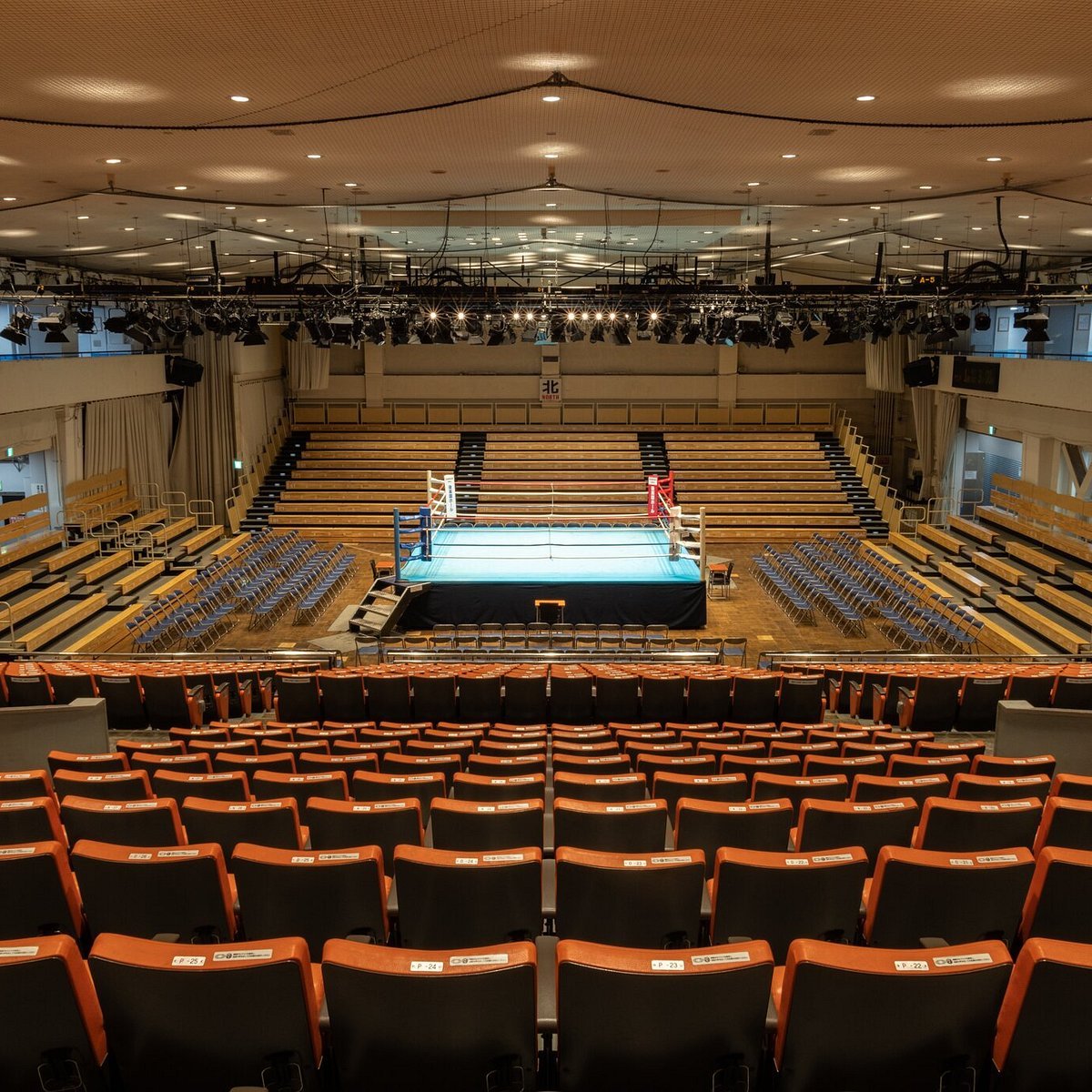 EVIL rubynant (but a humble squid) tweet media