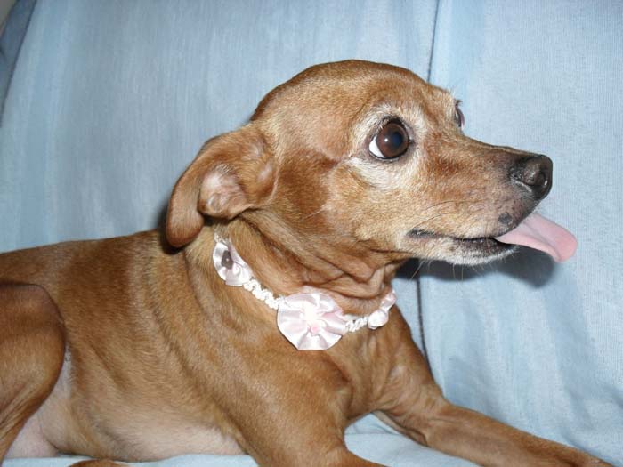 Eric Weber tweet media