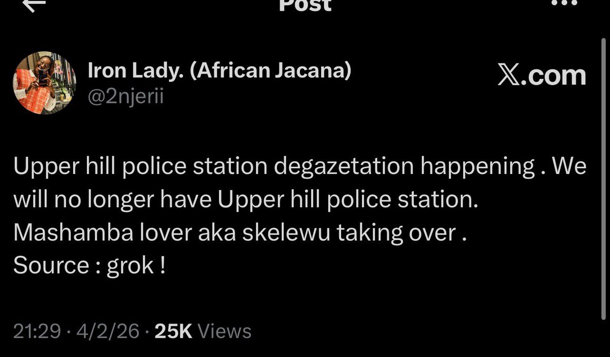 Iron Lady. (African Jacana) tweet media