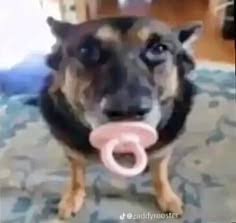 Andrew | 🇬🇷🇮🇹 tweet media