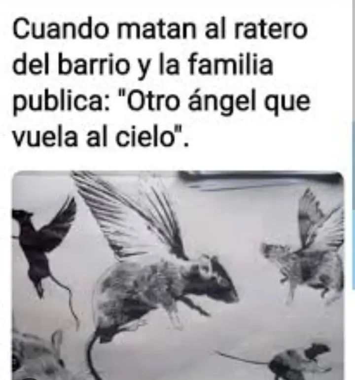 Hansservin88's tweet photo. @MexicoMagico https://t.co/Z97DSmxTd1