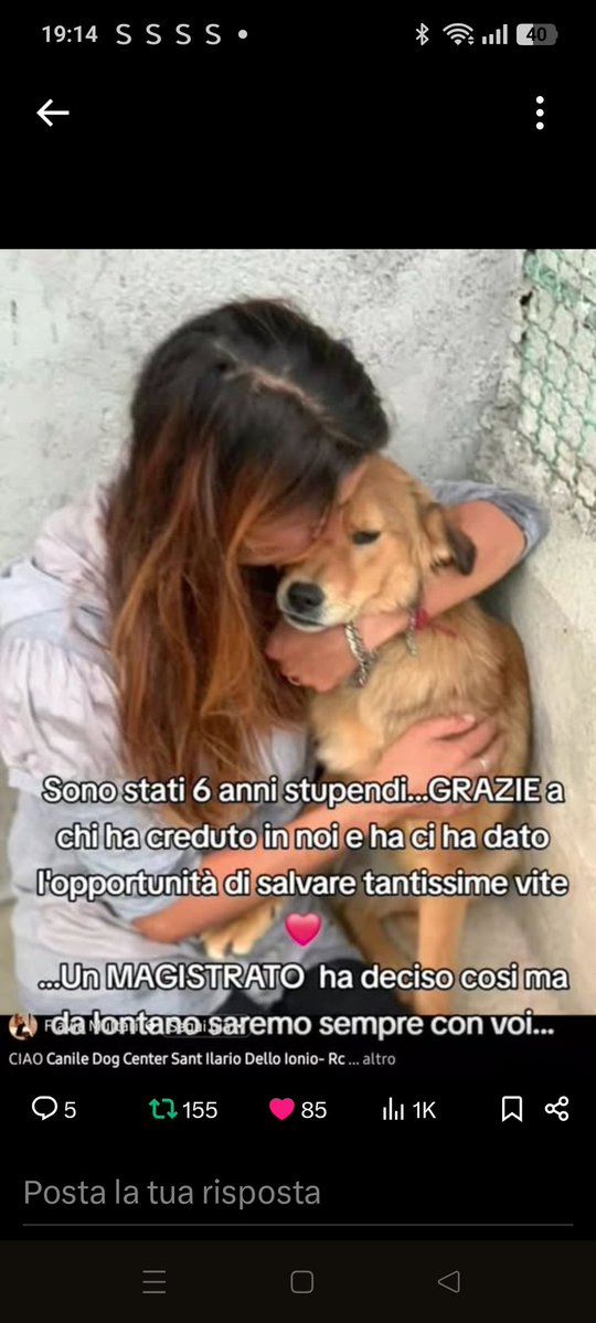 ULTIMA CARRELLATA DI CANI, SE VOLETE SALVARNE ALMENO UNO
CHIAMATE 342 568 6182
GRAZIE DA TUTTI I VOLONTARI🙏🙏🙏🙏♥️♥️♥️♥️♥️♥️♥️🆘🆘🆘🐶🐶🆘🆘🐶🐶