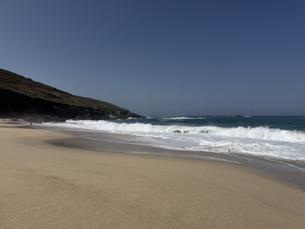 Gill Smith tweet media