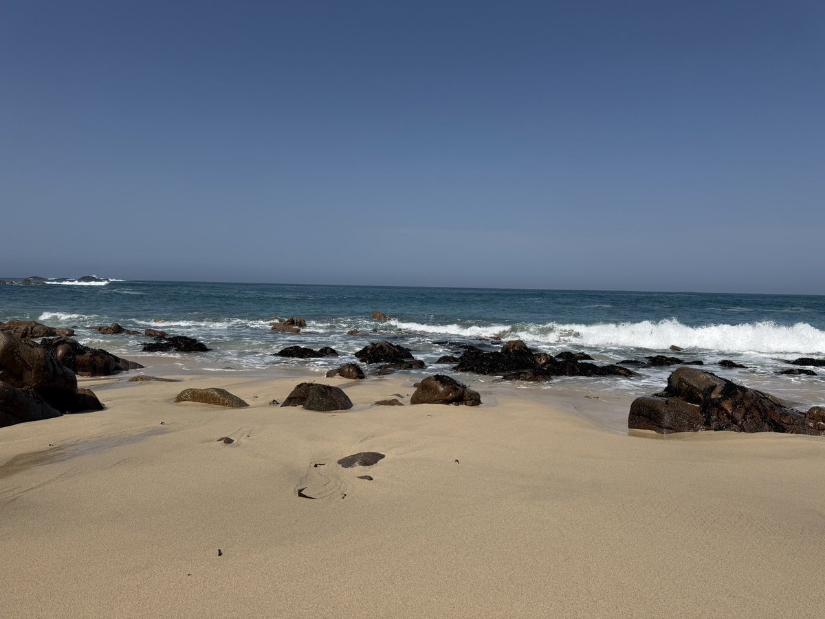 Gill Smith tweet media