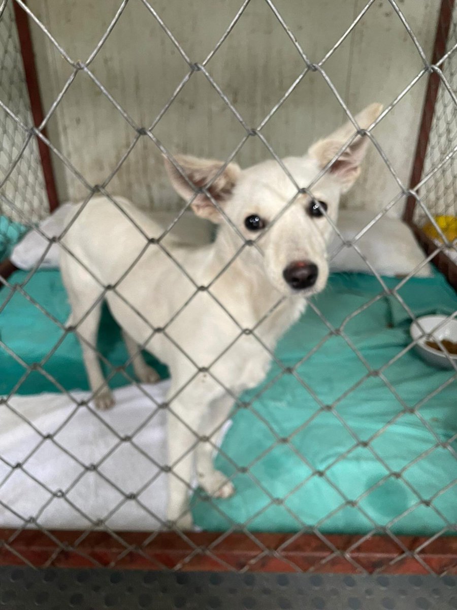 Zülal Kutluer tweet media