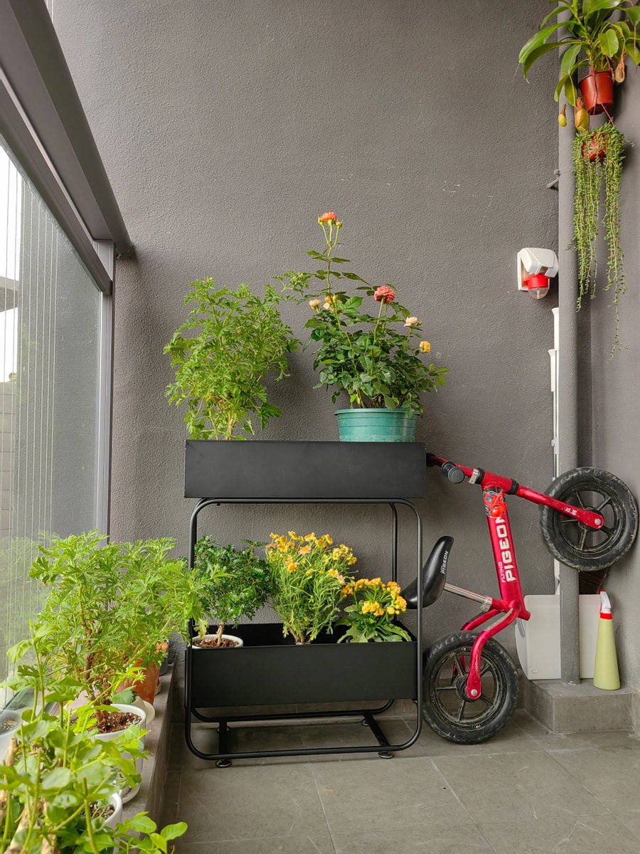 Hammad Shaikh tweet media