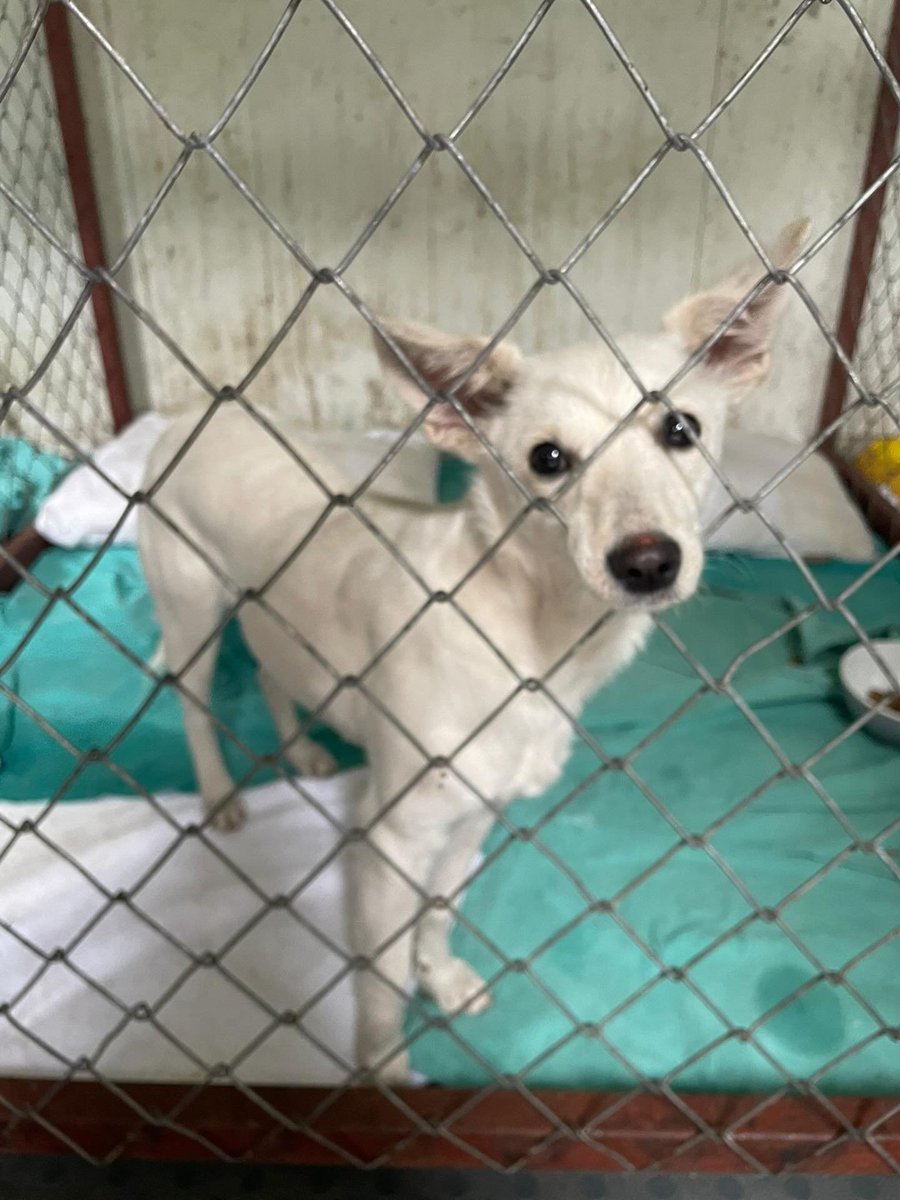 Zülal Kutluer tweet media