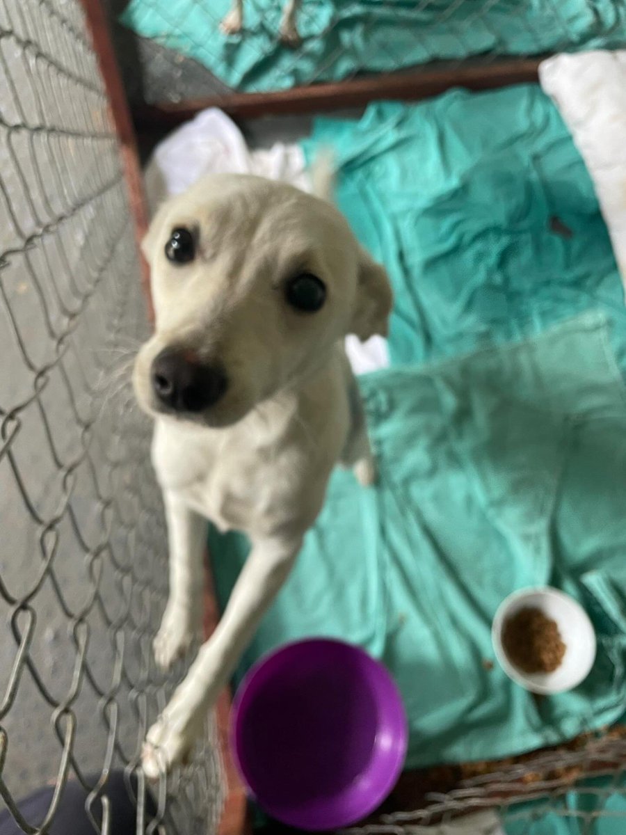 Zülal Kutluer tweet media