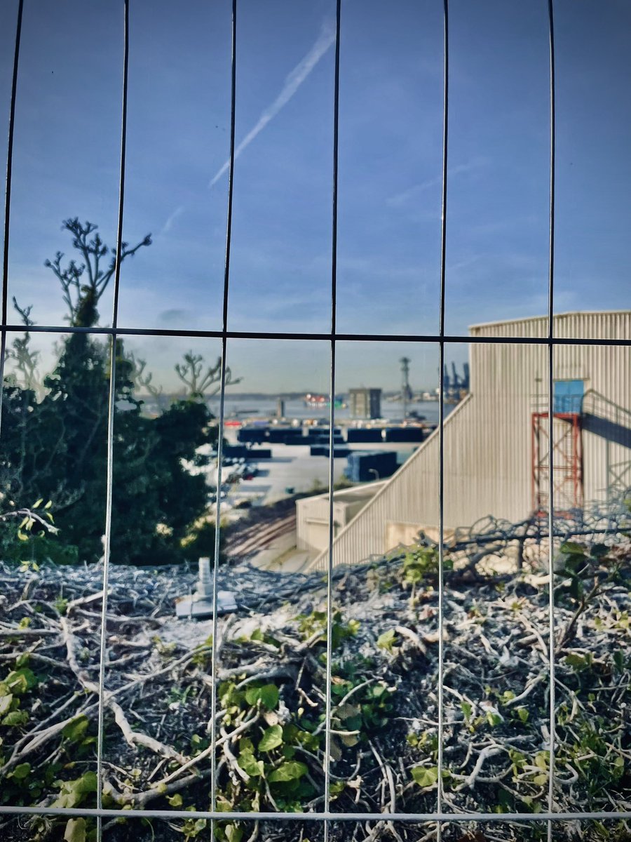 Vibechaserᯓ➤🔥 tweet media