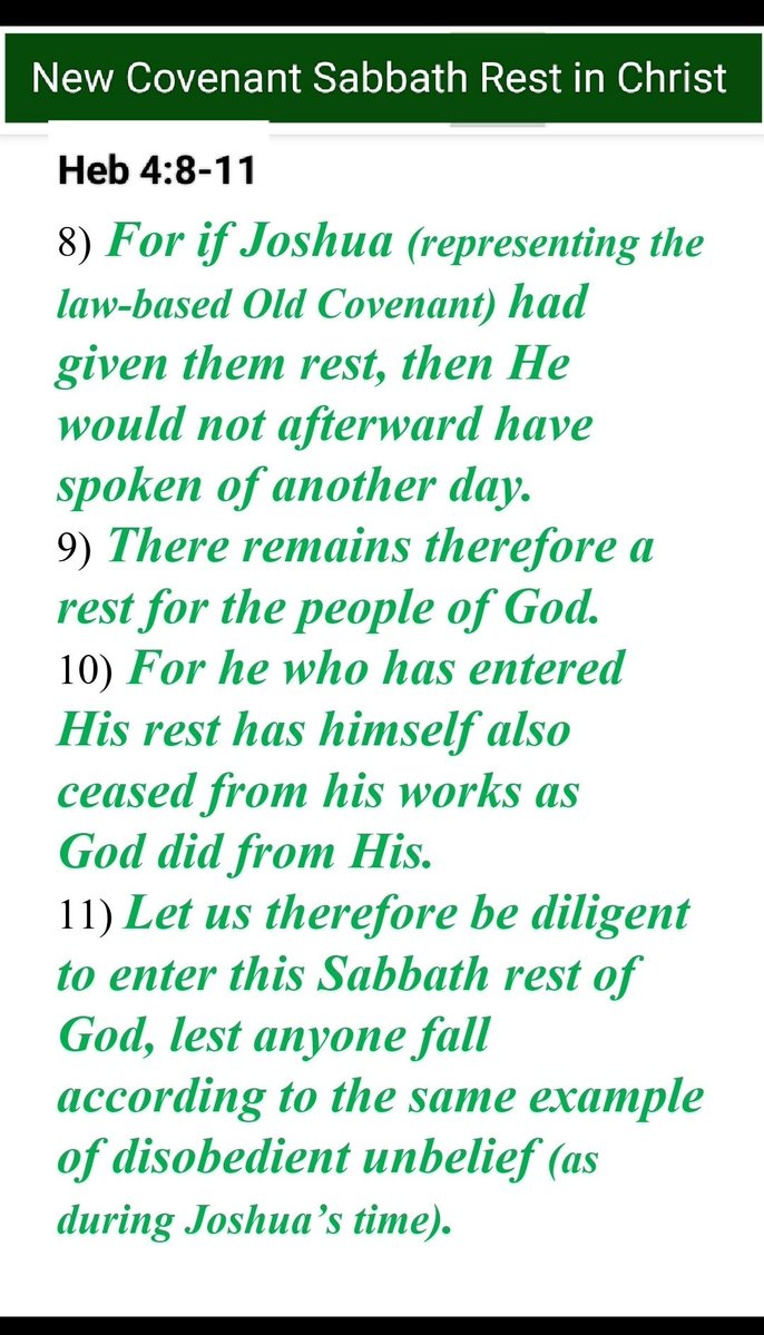 HisLifeNMe tweet media