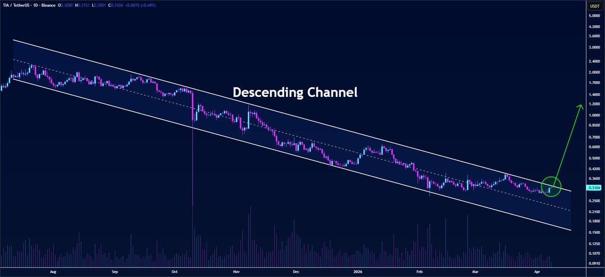 butterfly_chart's tweet image. #TIA is approaching a breakout from the descending channel on the daily timeframe👀

The pattern completion looks absolutely textbook — bulls are taking charge now🔍

After the breakout triggers, $TIA could significantly EXPLODE from these levels✈️