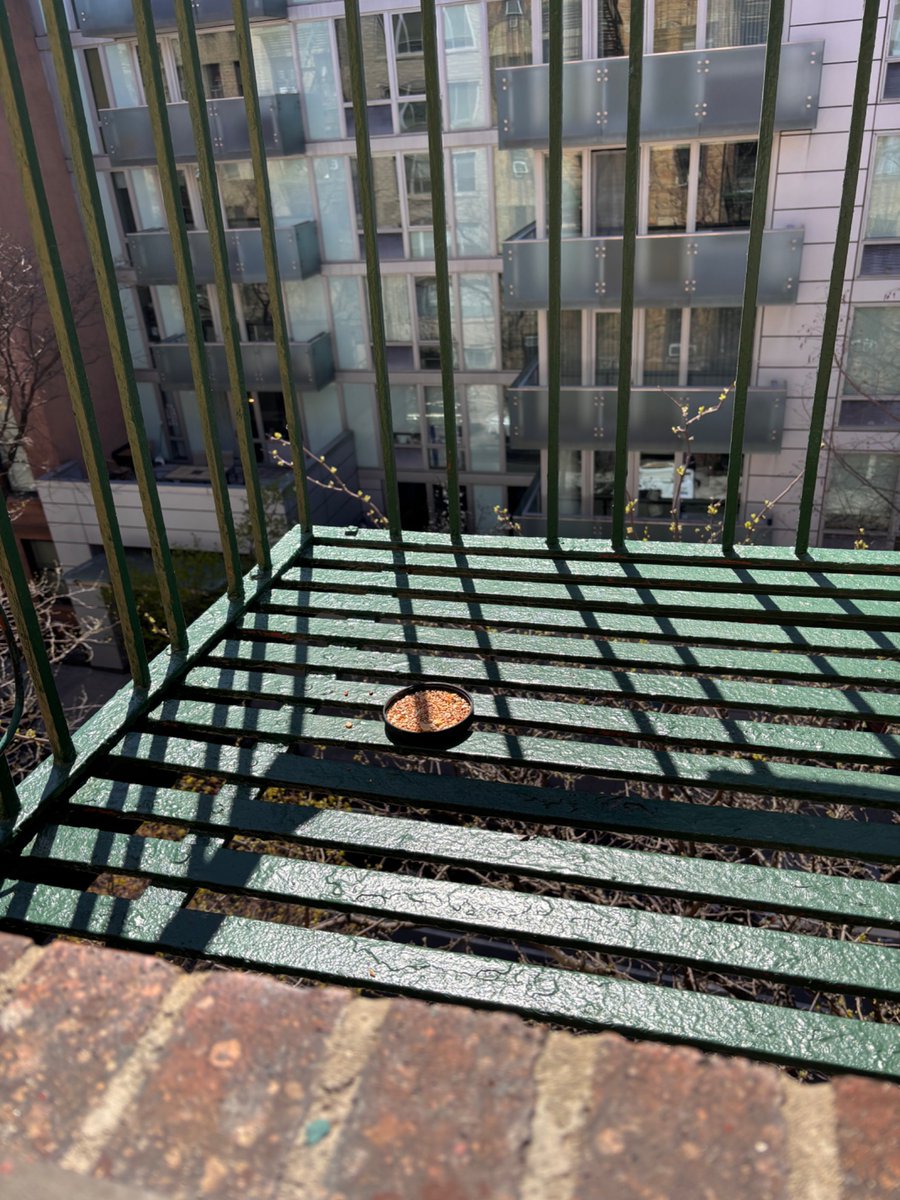 Erika Longo tweet media