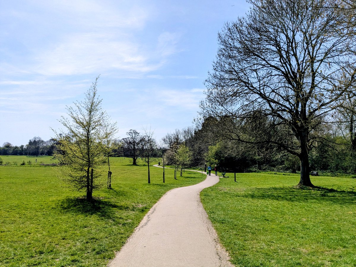 clairevhill's tweet image. Beautiful day sun 🌞#Knowle #park #blossom