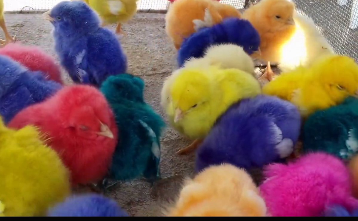 بسام 𝟓𝟎𝟏 tweet media