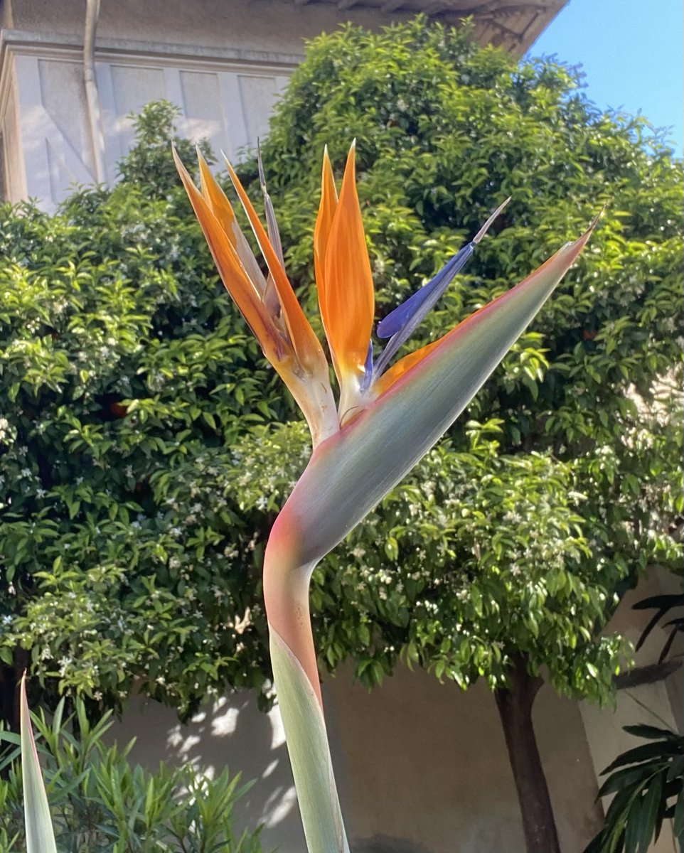 Chadia Bailet tweet media