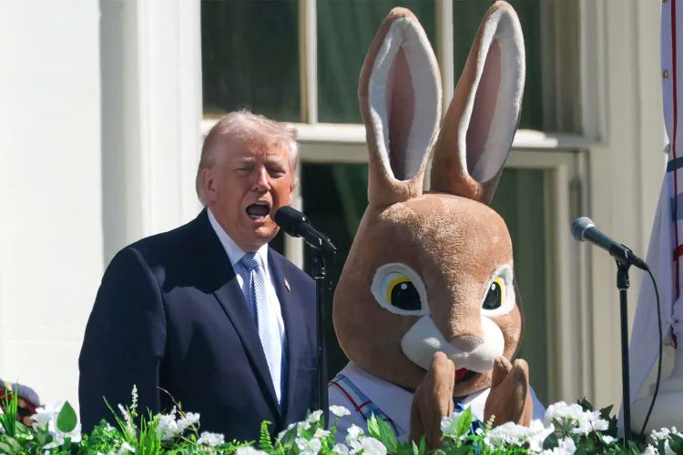 dxv515💥💥💥 tweet media