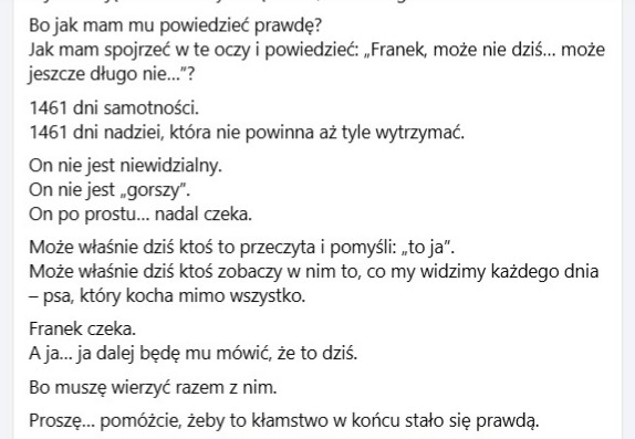 Robwalka Wolf tweet media