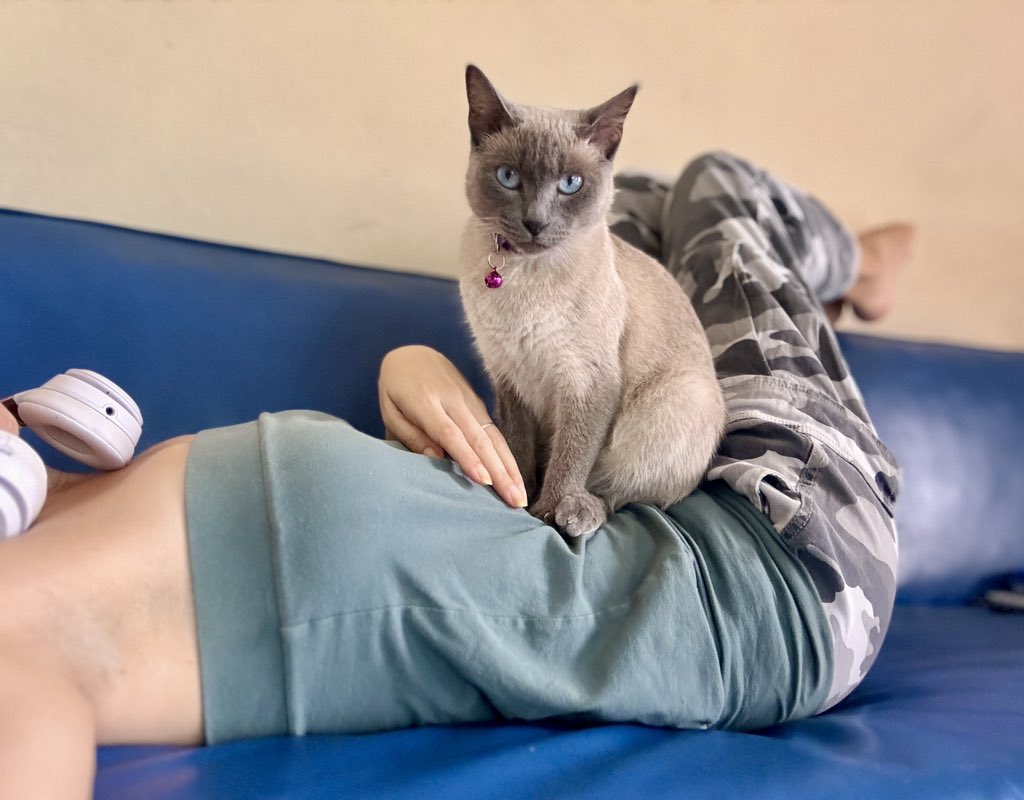 𝓐rlene 𓃠ᨒ tweet media