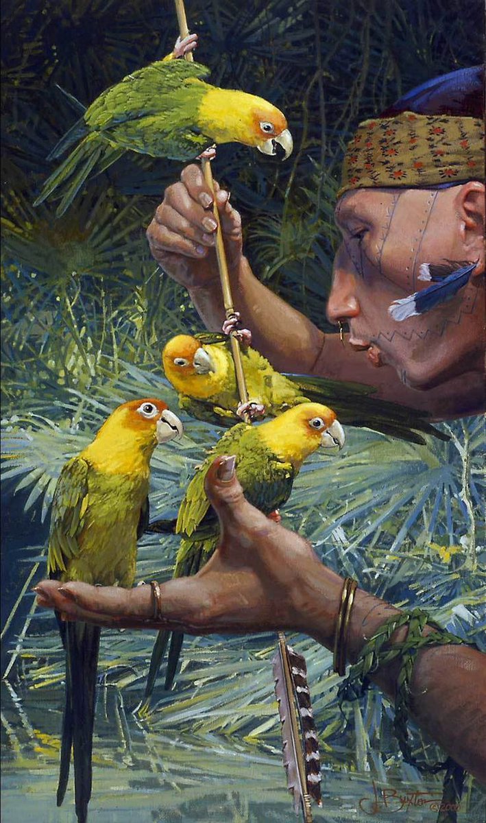 ❀𐂂𝐀𝐜𝐞𝐫𝐯𝐨 𝐝𝐚 𝐄𝐭𝐧𝐨𝐥𝐨𝐠𝐢𝐚𐂂❀ tweet media