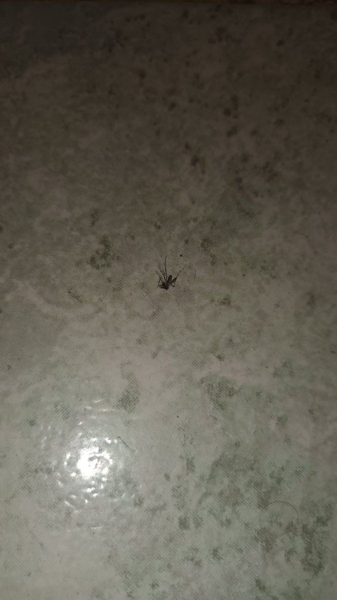 Josh Mo. tweet media