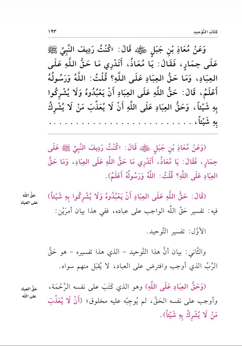 Le poulpe est la meilleure viande au monde tweet media